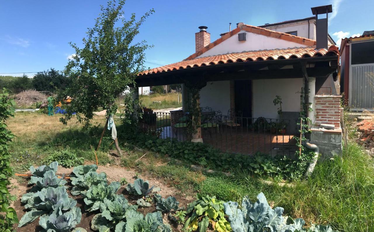 Casa De Pueblo Con Merendero Alquilable Opcionalmente Casarejos 外观 照片